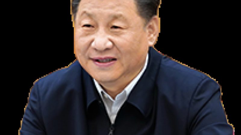 农药精细化工产品配方加盟：揭秘代理背后的行业秘密**